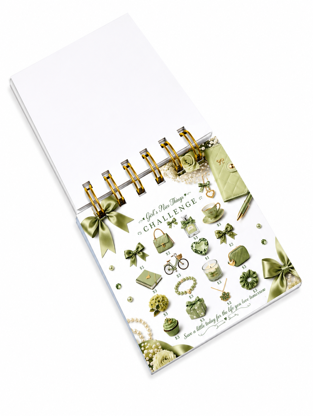 Coquette Savings Tiny Booklet
