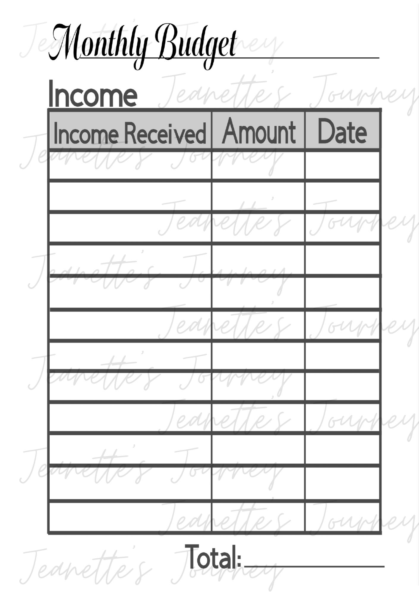 Zero Based Budgeting Laminated Planner/ A5