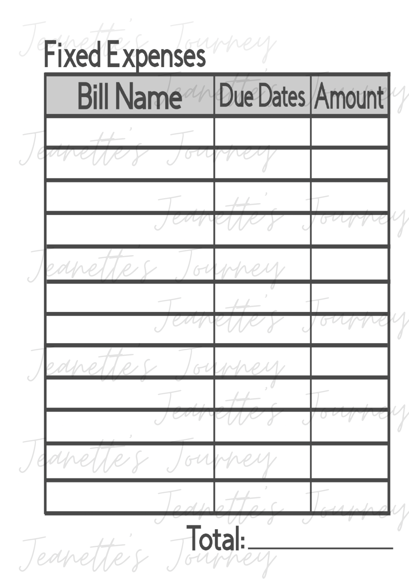 Monthly Laminated Budget Planner Pages/ A5 Pages