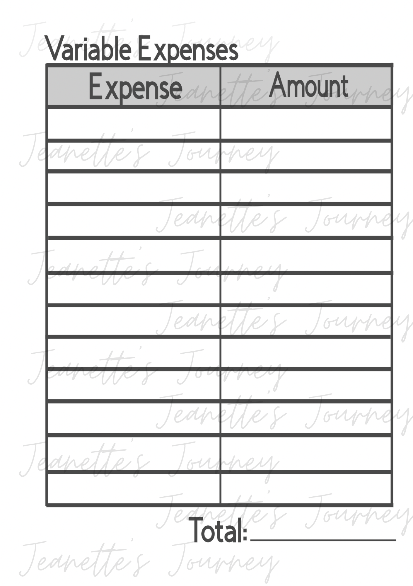 Monthly Laminated Budget Planner Pages/ A5 Pages