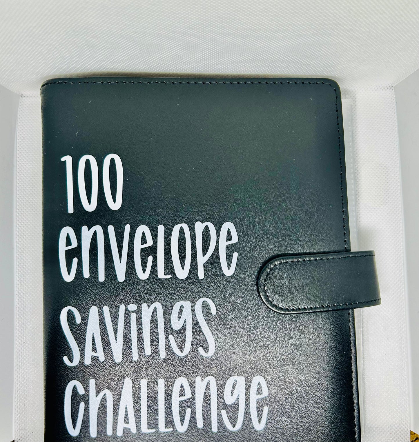 100 Envelope Challenge