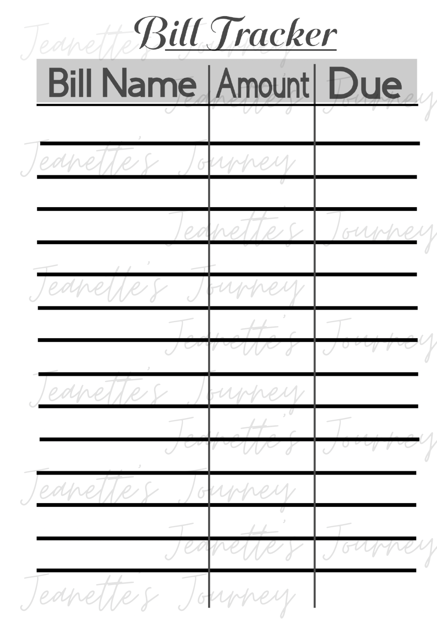 Funds Tracker Laminated Pages/ A5 Pages