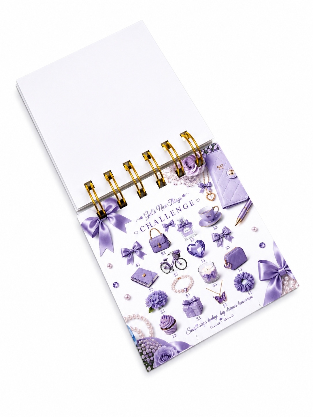 Coquette Savings Tiny Booklet