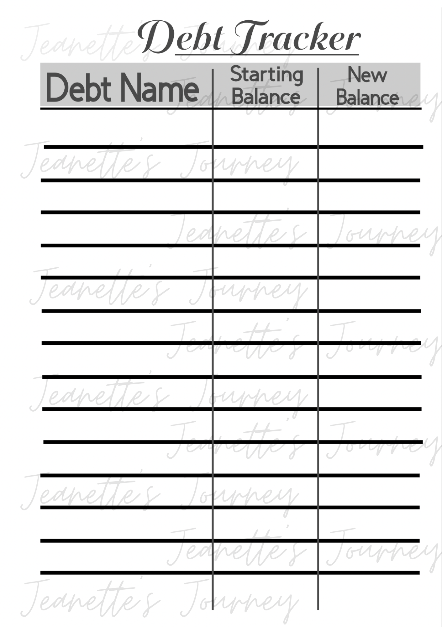 Funds Tracker Laminated Pages/ A5 Pages