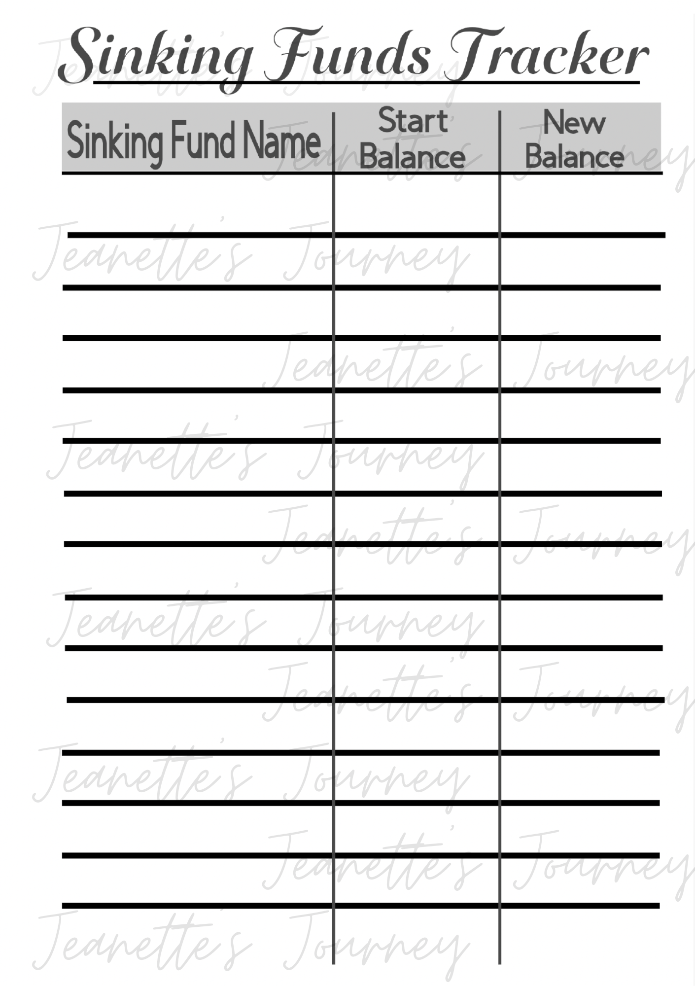 Funds Tracker Laminated Pages/ A5 Pages