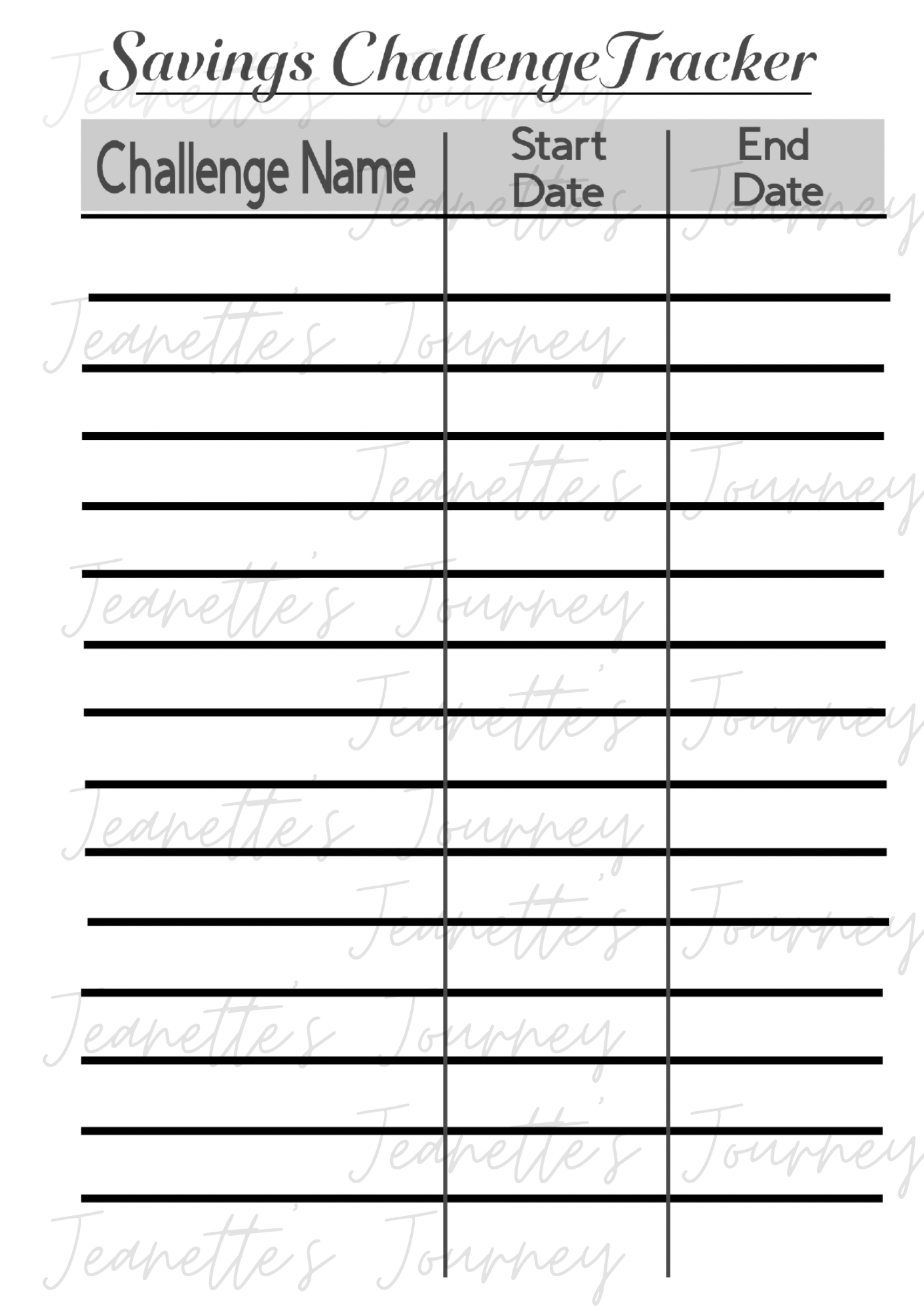 Funds Tracker Laminated Pages/ A5 Pages