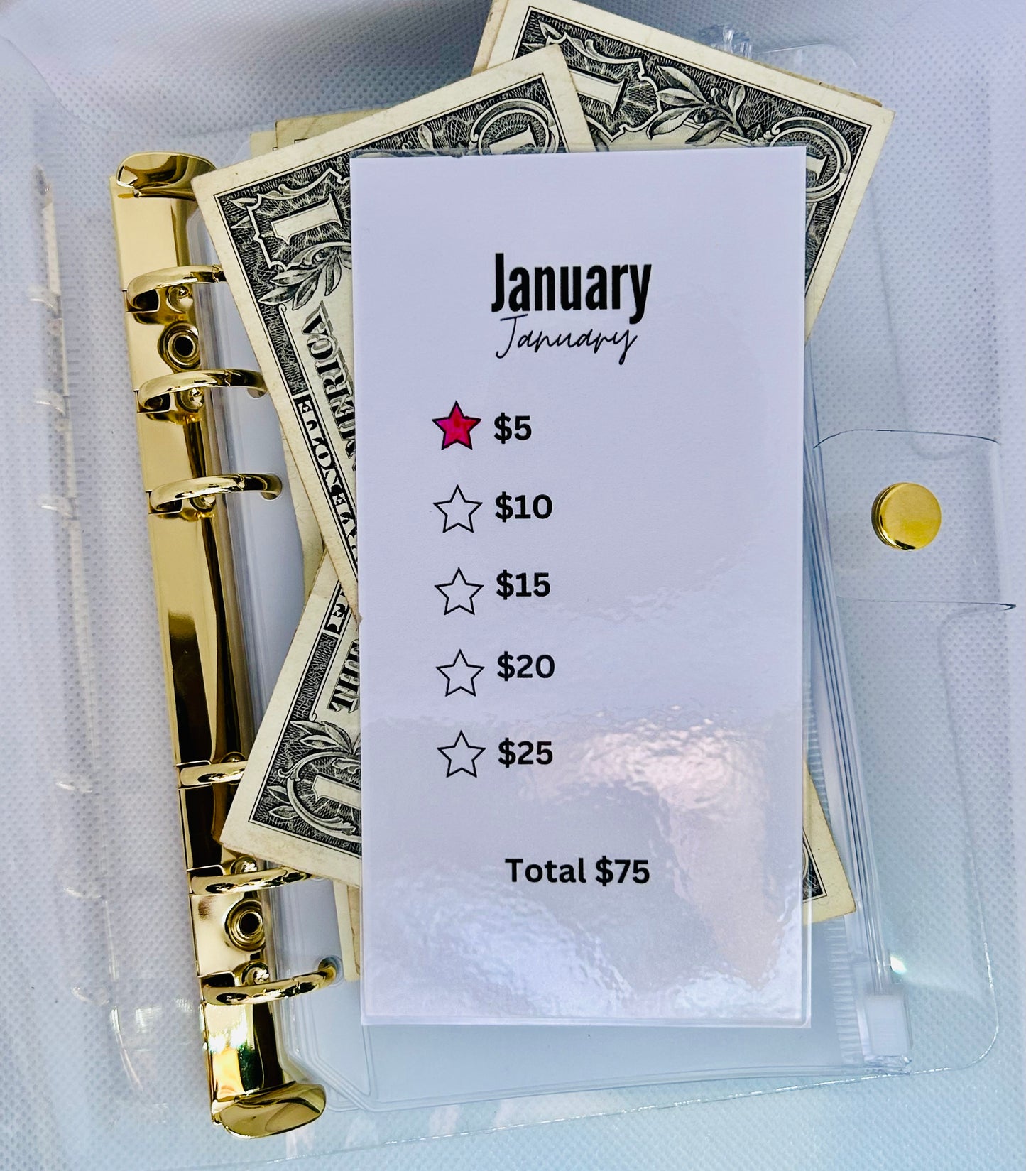 Monthly Savings Challenge Bundle