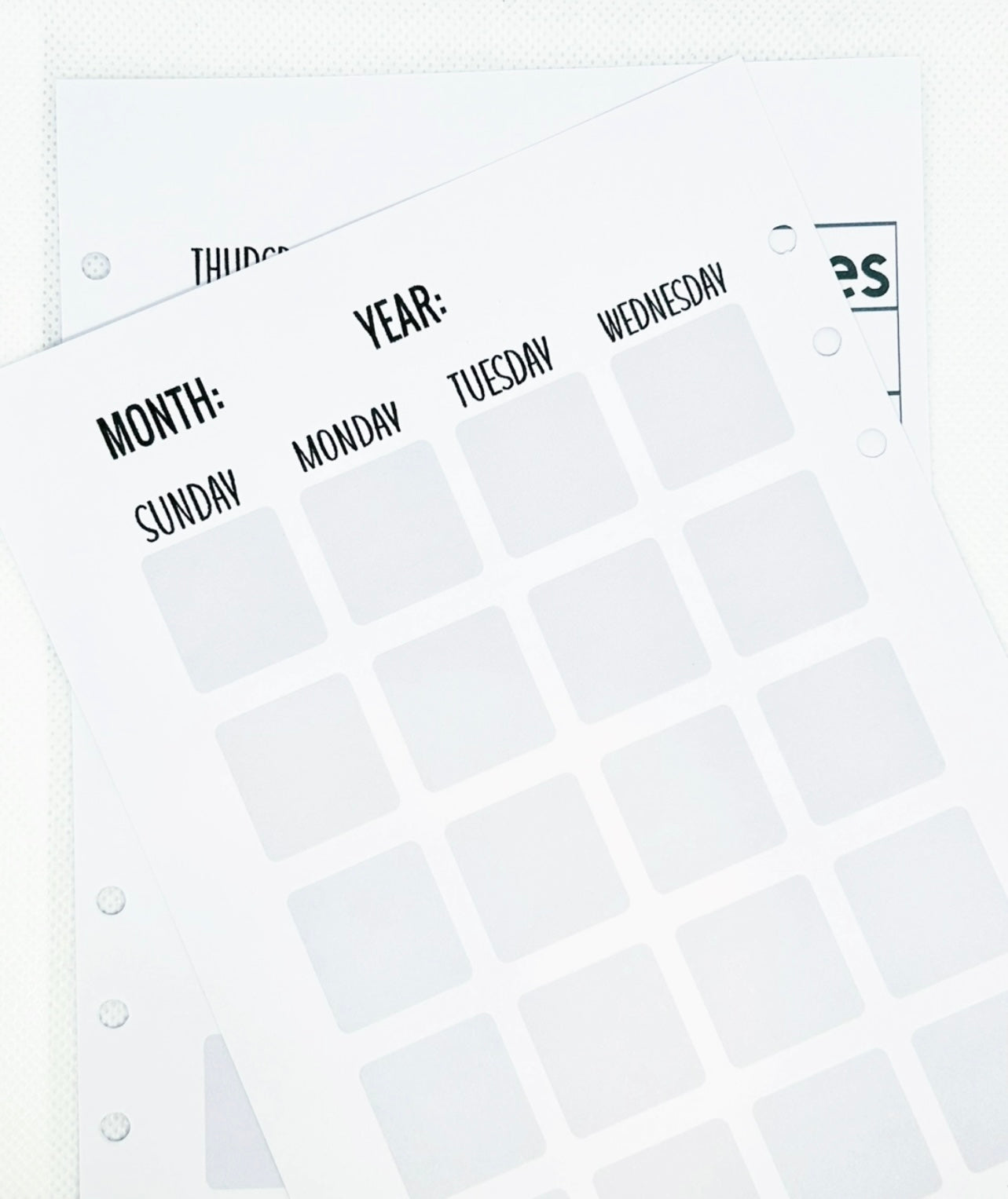 Budget Laminated Planner/ A5