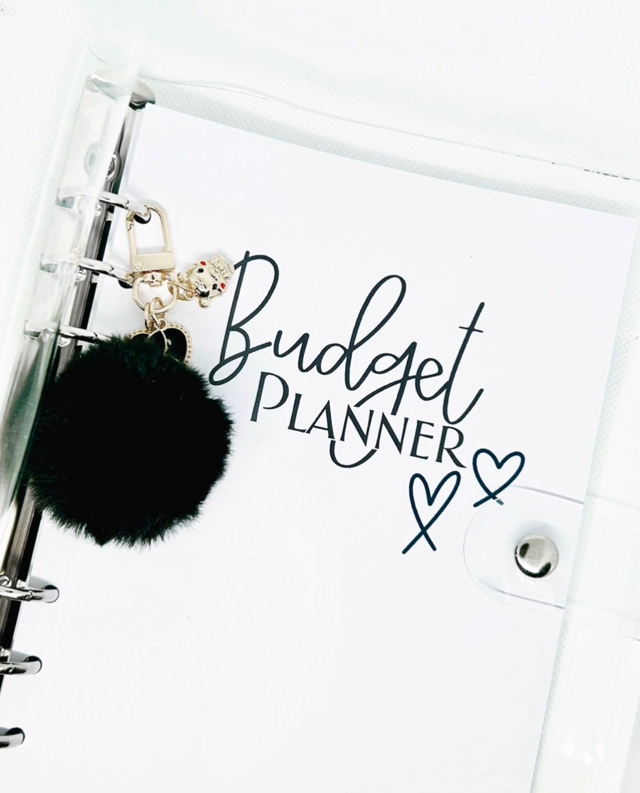 Budget Laminated Planner/ A5