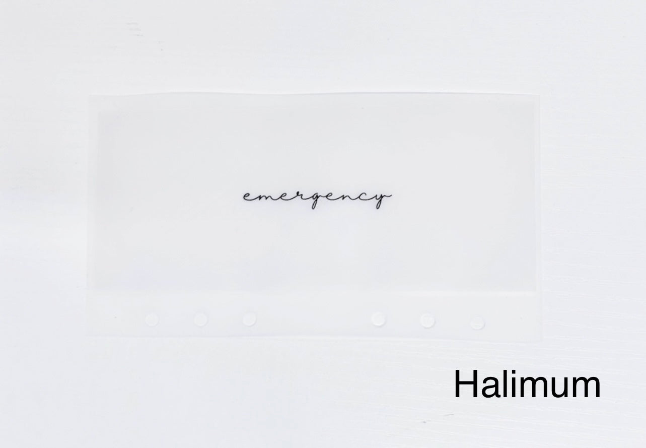 Minimalist Matte Vellum Cash Envelopes/ A6