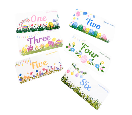 Spring Randomizer Dashboards/A6