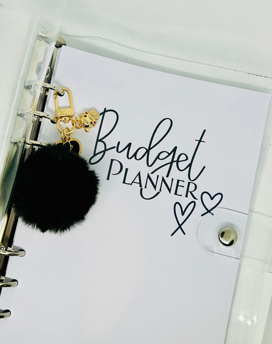 Budget Laminated Planner Cover + More/ A5 Sheets